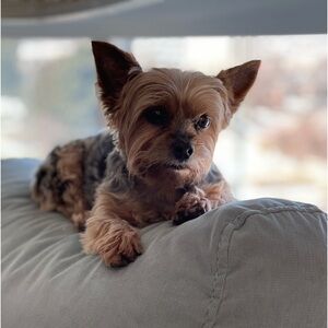 Meet your Posher, Myrna